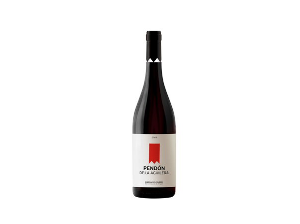 PENDON DE LA AGUILERA 2009